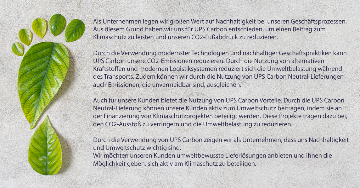 still life sustainable lifestyle elements composition